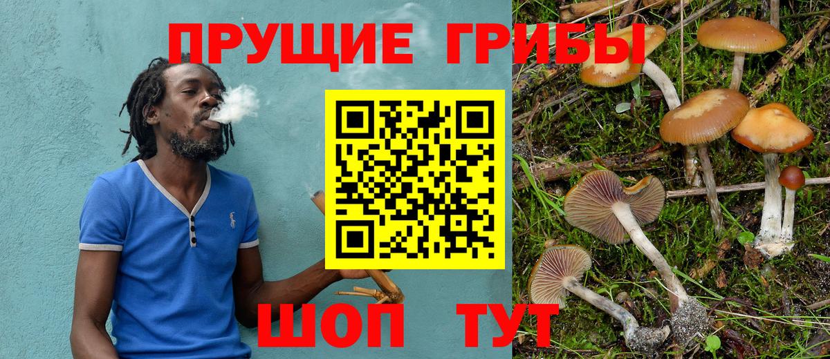 Псилоцибиновые грибы мухоморы Мурино